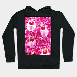 Pink Orchids Hoodie